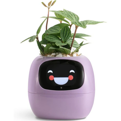 Intelligent Self Watering Ivy Planter