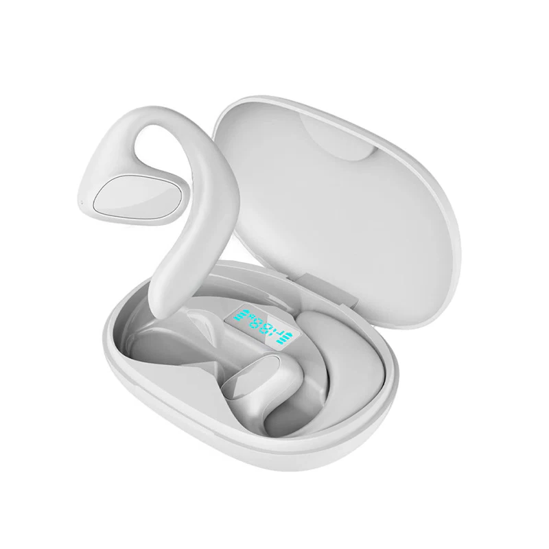 Wireless Multilingual Earbuds