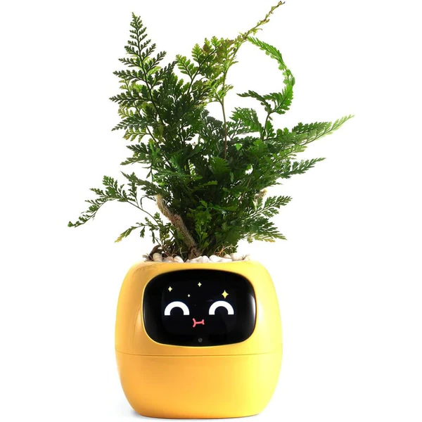Intelligent Self Watering Ivy Planter