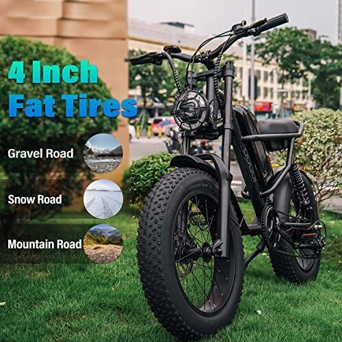 Powerful 1000W Electric Mountain Bike 20 Fat Tire Ebike