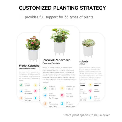 Intelligent Self Watering Ivy Planter