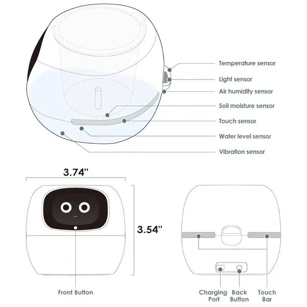 Intelligent Self Watering Ivy Planter