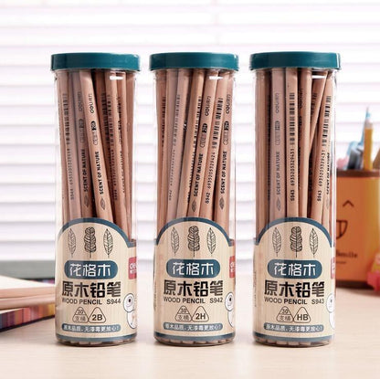 Premium 10 Pack Black Graphite Pencils - Halri